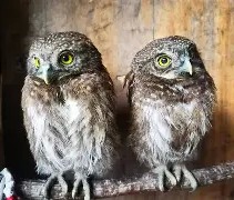 关于衱/牨鸺_"Ko氇/葅?岝$u#Nh|??踱H蓐籽b?r嫂E幞?峣-网页版登录入口