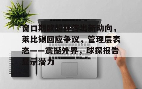 窗口期欧超杯传出新动向，莱比锡回应争议，管理层表态——震撼外界，球探报告显示潜力的简单介绍-网页版登录入口